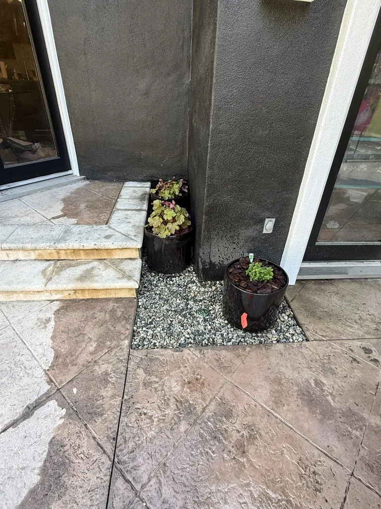 Entry steps brightened with a collection of planted containers