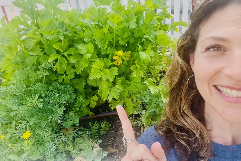 Mindy of SageWorks in her herb garden, pointing out leafy carrot tops