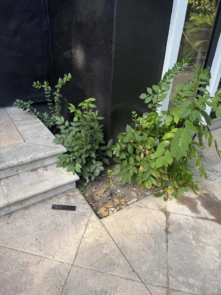 Entry steps before container planters were added