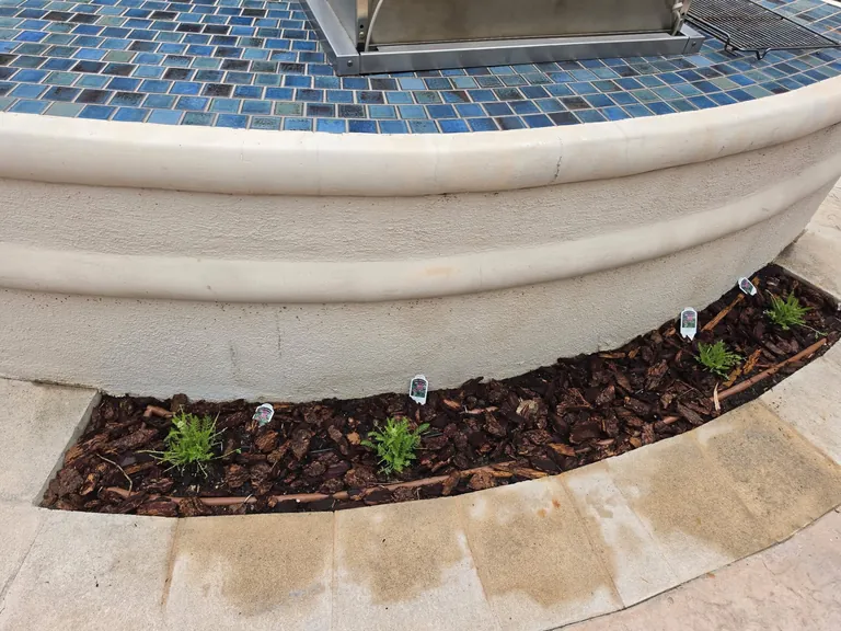 Refreshed curved garden bed with new plants and tidy edging