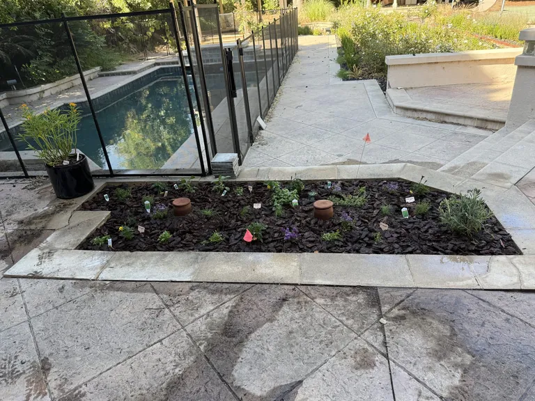 Poolside bed replanted with herbs, flowers, mulch, and terracotta ollas